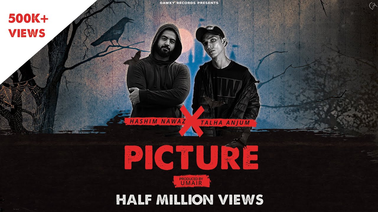 Hashim Nawaz - Picture feat. Talha Anjum (Prod. UMAIR)