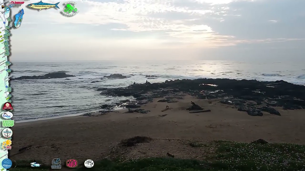 GT vs Big Eye Kingfish in the Umzimkulu PLUS SKZN Beach Reports #surf #fish #dive