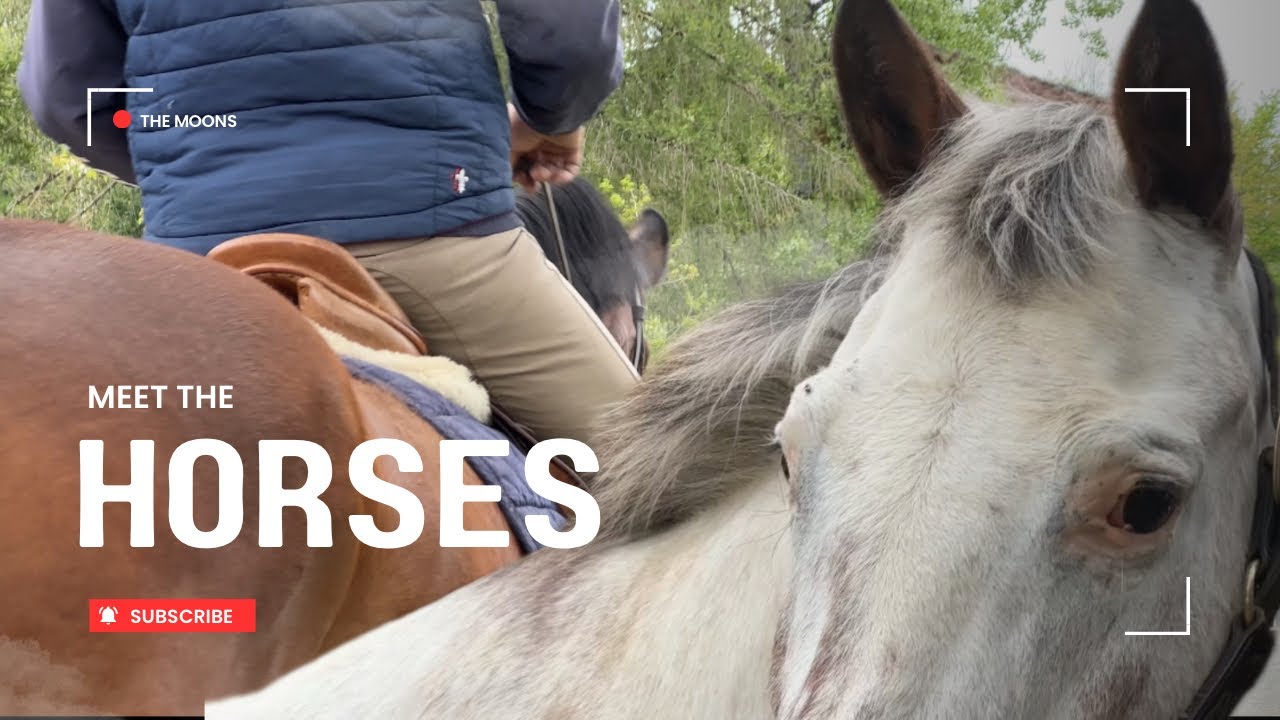 Who’s The New Horse …