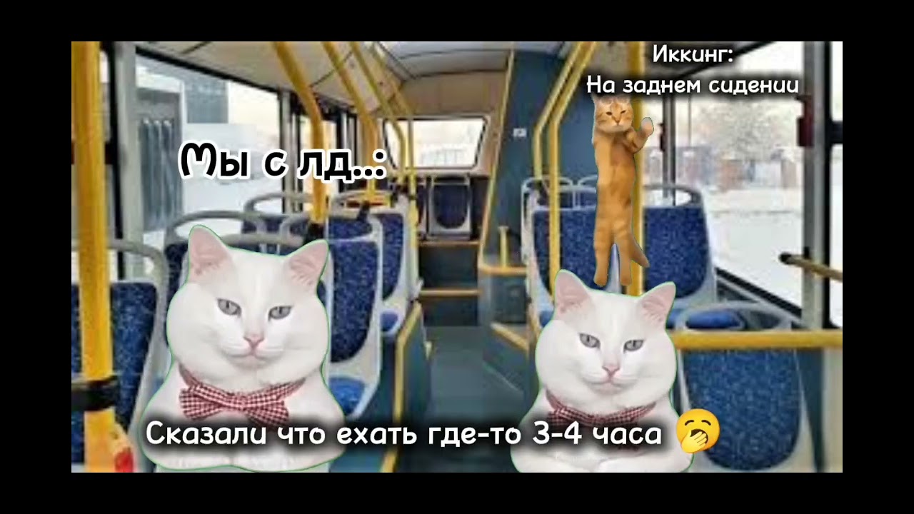 еду в автобусе с друзьями