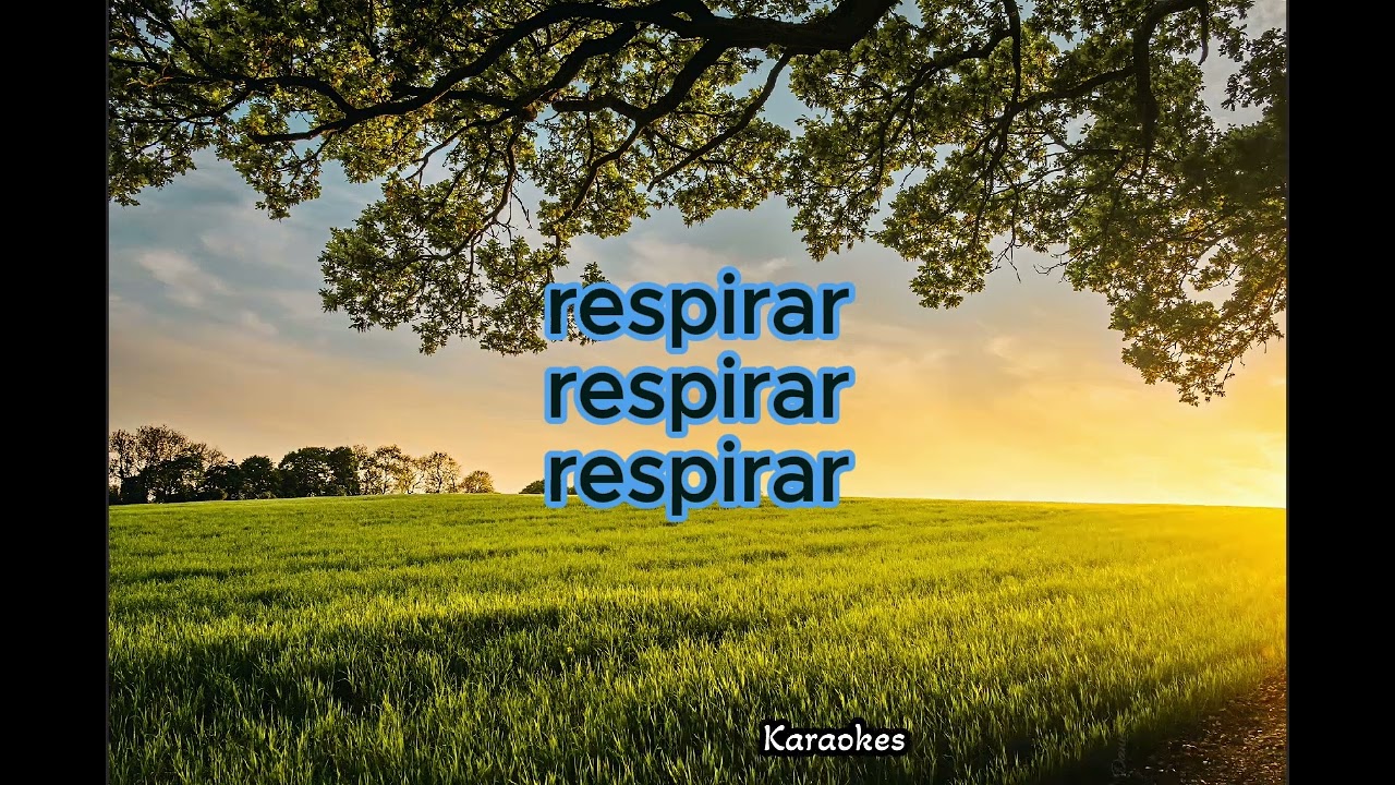 Respirar-karaoke-versión Bebe