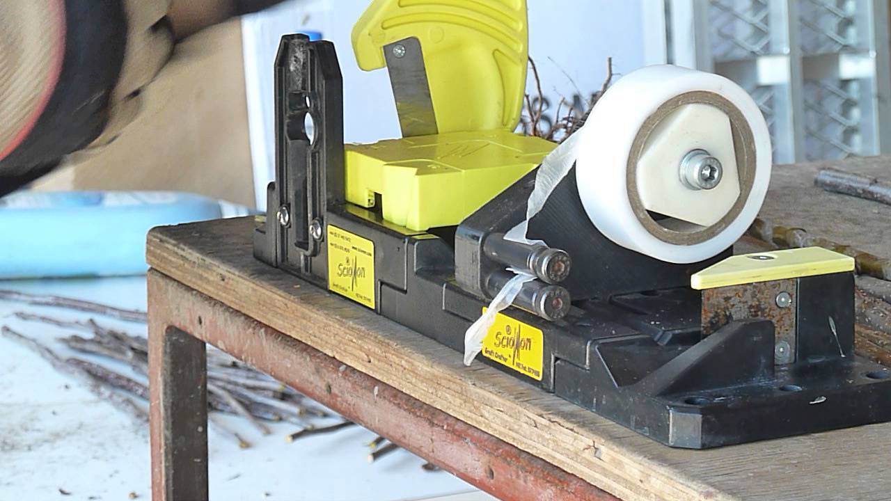 Whip & tongue bench grafting