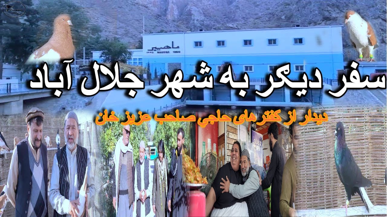 سفر دیګر شهر جلال آباد/ برنامه جدید کفترهای حاجي صاحب عزیز/ A New Short Trip to Jalalabad/ Pigeons