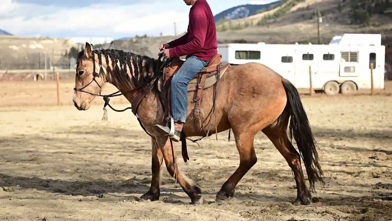 Серия соревнований по верховой езде на лошадях (X-Bucking Horse Series) | Тест на открытой арене:...