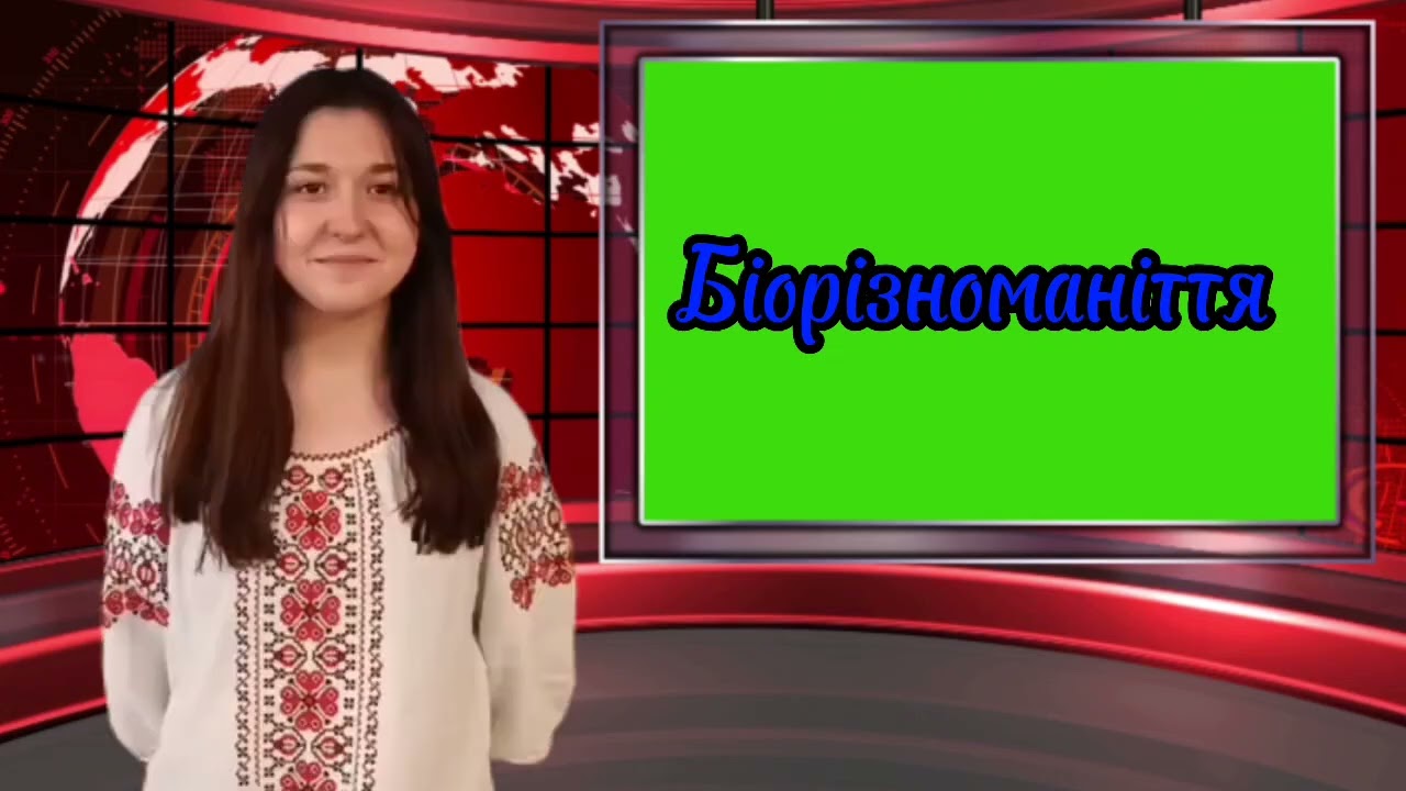 Агітбргада 
