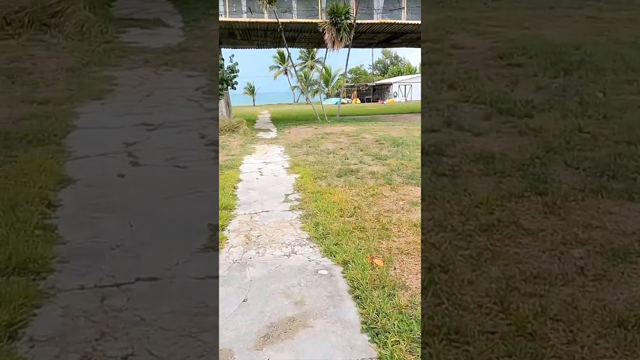 Rainy day at Pigeon Key in the Florida Keys #pigeonkey #floridakeys #shorts