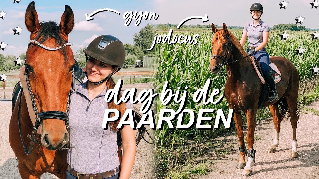 IK GA WEER PAARDRIJDEN! ✰ Romy van der Linden