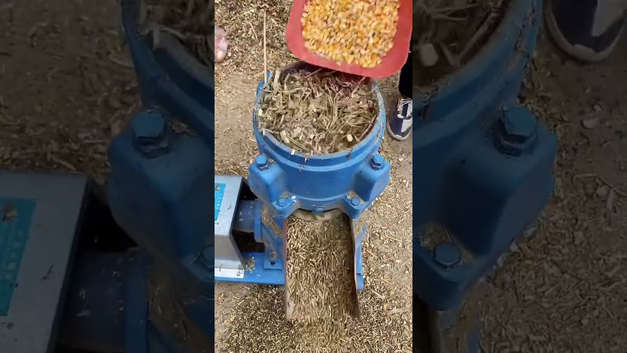 Pellet machine poultry fodder DIY chicken feed homemade