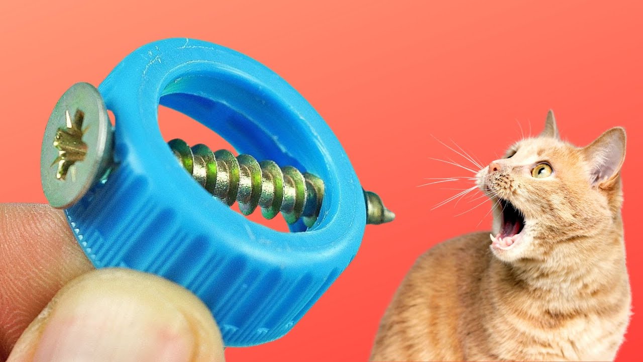 RICICLA le bottiglie di plastica cos&igrave;! IDEE fai da te geniali