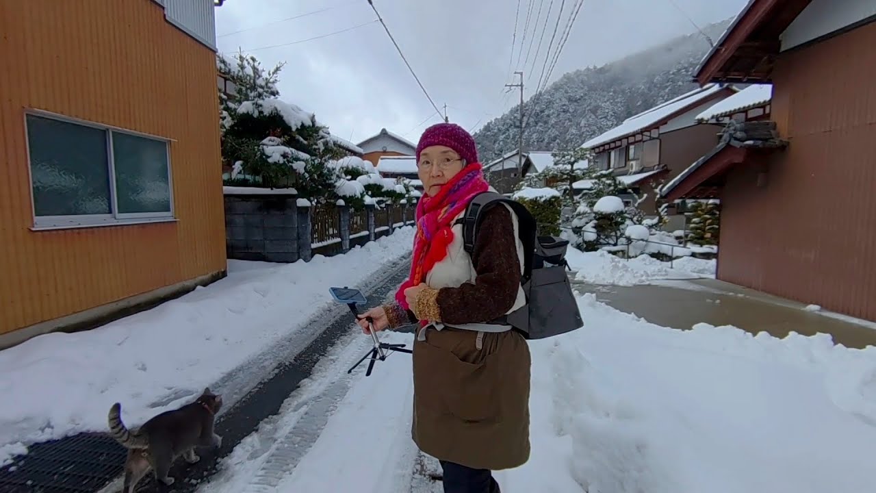 お昼を食べて散歩に出て.. 離れたお宅の納屋から出て来ず先に帰ると.. 暫くしてニャ〜と鳴いて雪を掻き分け裏道から戻って来て.. 満足そうな猫…【さっちゃんとおばあちゃんの散歩・1145日目】・・・