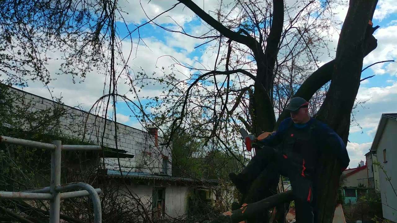 Praca wysięgnikiem teleskopowym i piłą Stihl Super TurboCut PR 40 CT