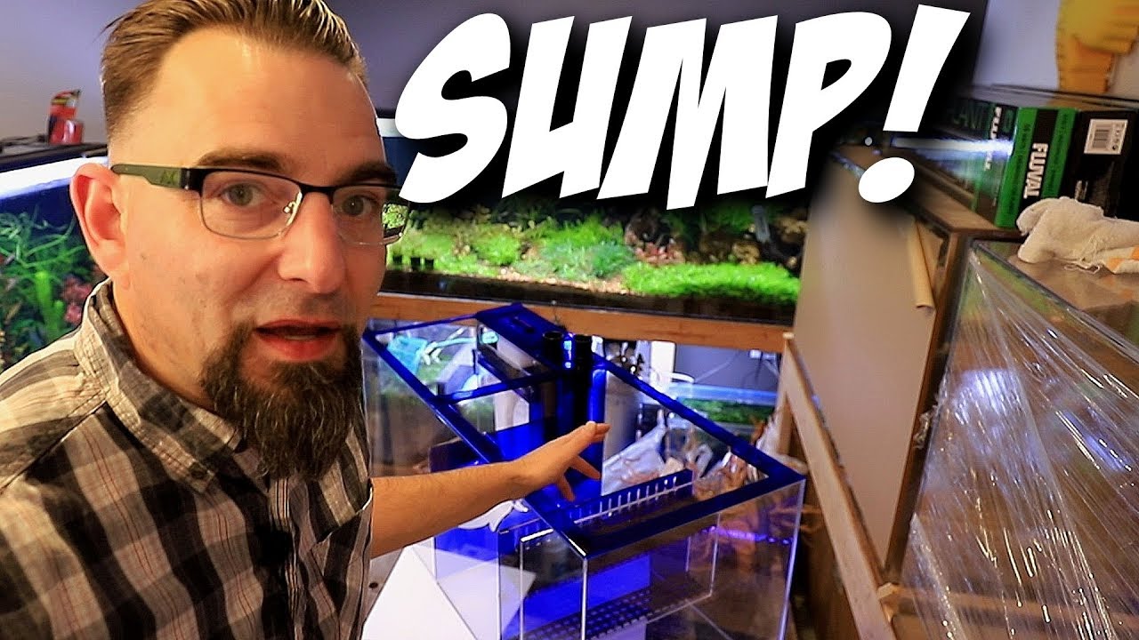 Trigger Sapphire Sump UnBoxing! For a New 120 Gallon Freshwater Aquarium!