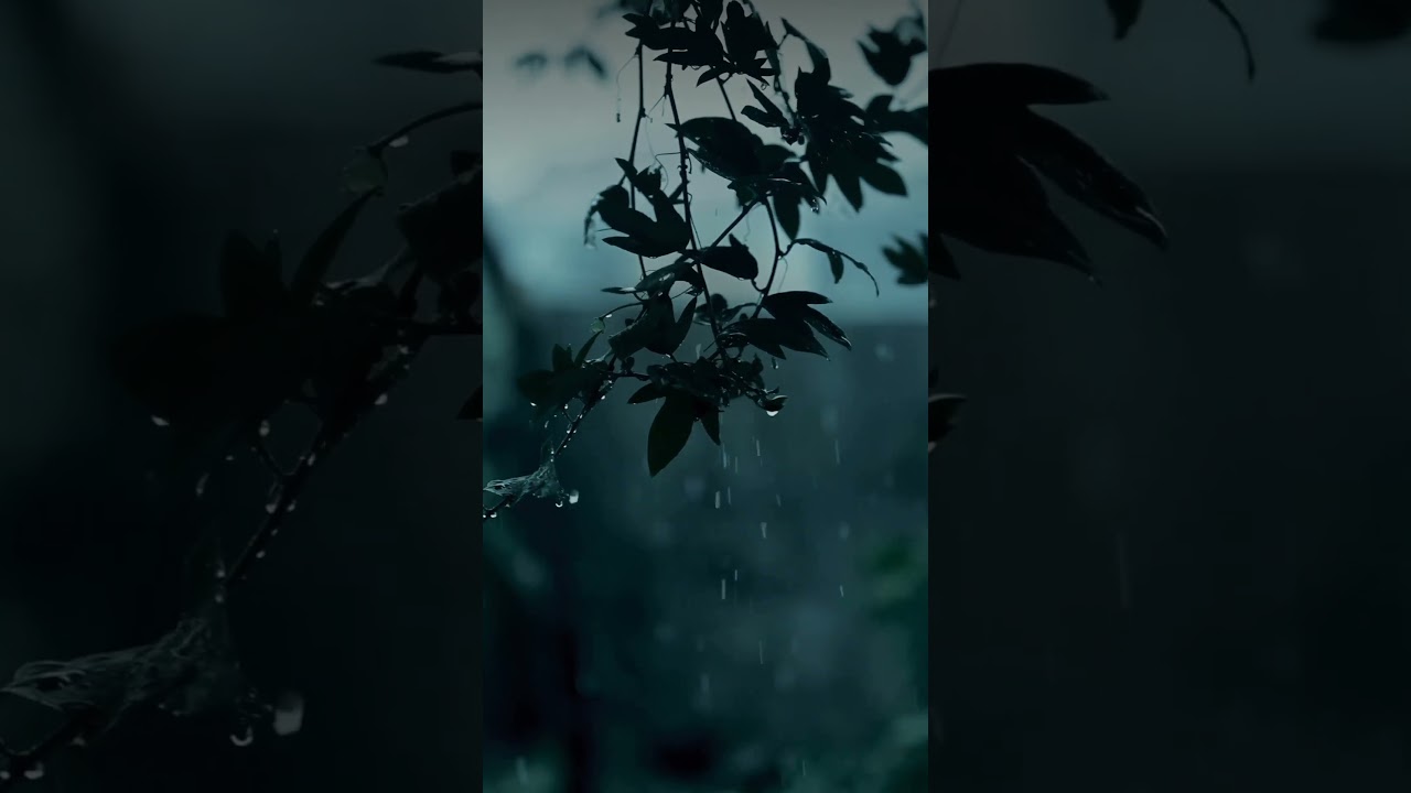 【BGM】⚡️Mellow Storm☂️穏やかな嵐🌧️