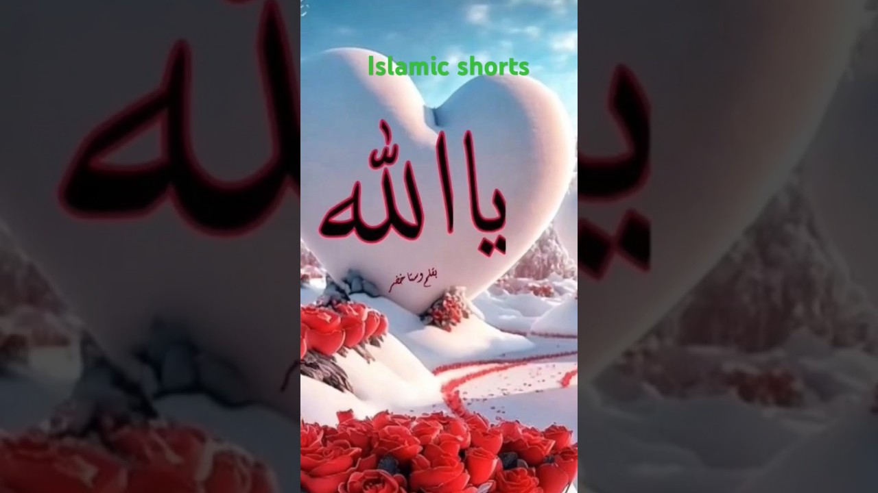 new islamic #tiktok #youtubeshorts #shorts #ytshorts #@Habibali-j7i #shorts