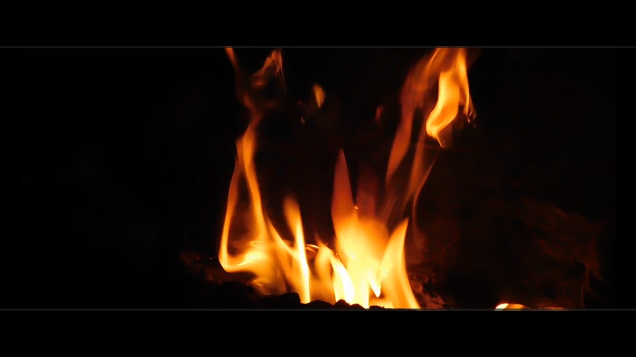 Adelanto del libro 