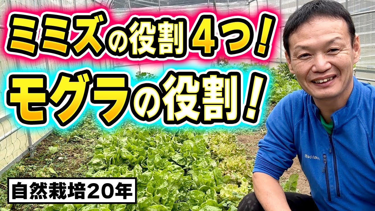 【自然栽培408】ミミズが活躍４つのこと！モグラの役割！