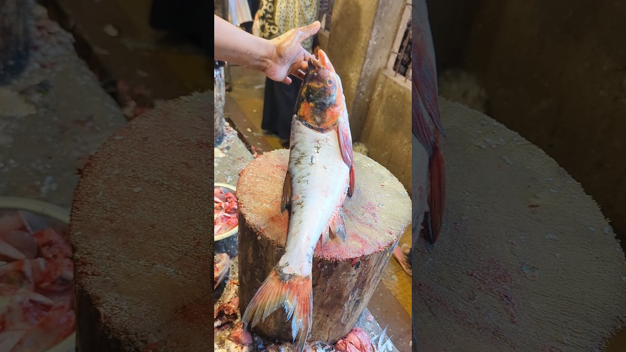 Amazing Silver Carp Fish Cutting Skills In Bangladesh Local Fish Market By Expert Cutter