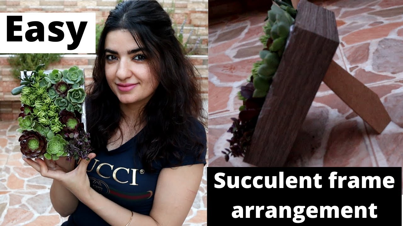 أنصحك بالمشاهدة..أجمل ديكورنباتات باستعمال إطارالصور, النباتات العصارية Succulent frame arrangement