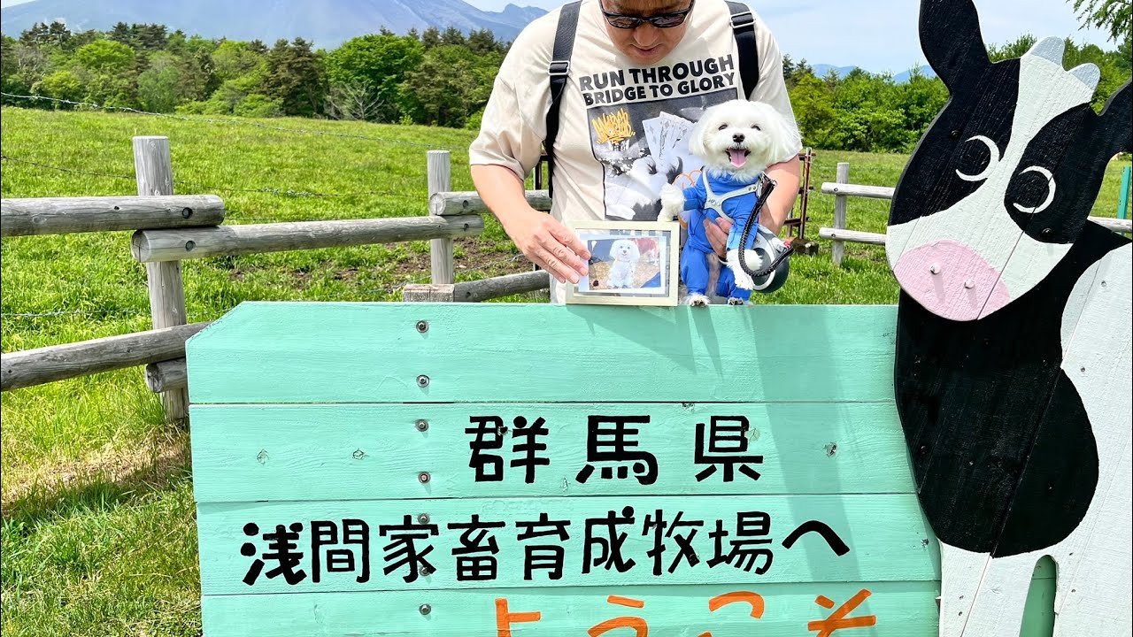 軽井沢旅行記'25.6 牧場でお散歩🐶🐶