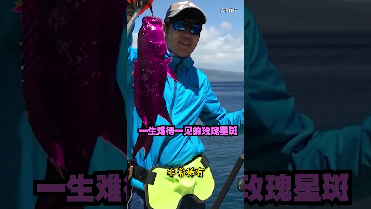 盘点分享25种石斑鱼，精心收集，超全，这么多品种你认识几种？#认识石斑鱼 #鱼类科普  #海钓 #神奇动物