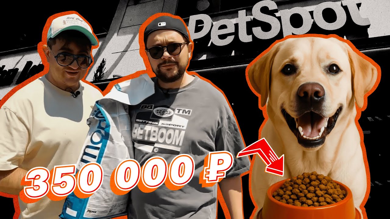 ОТДАЛИ ДОНАТЫ ЗРИТЕЛЕЙ БЕЗДОМНЫМ СОБАЧКАМ &mdash; как прошла поездка hooch и mAger в приют