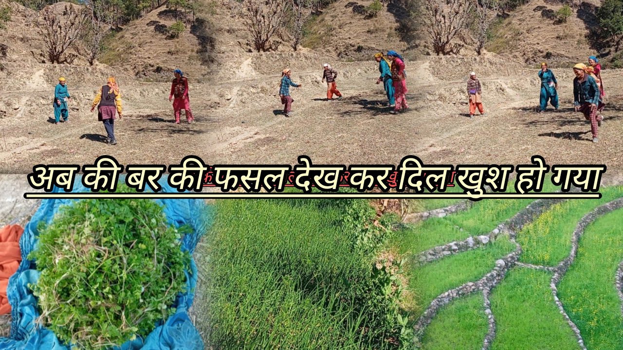 आज तो मजा आ गया काम पर 😊