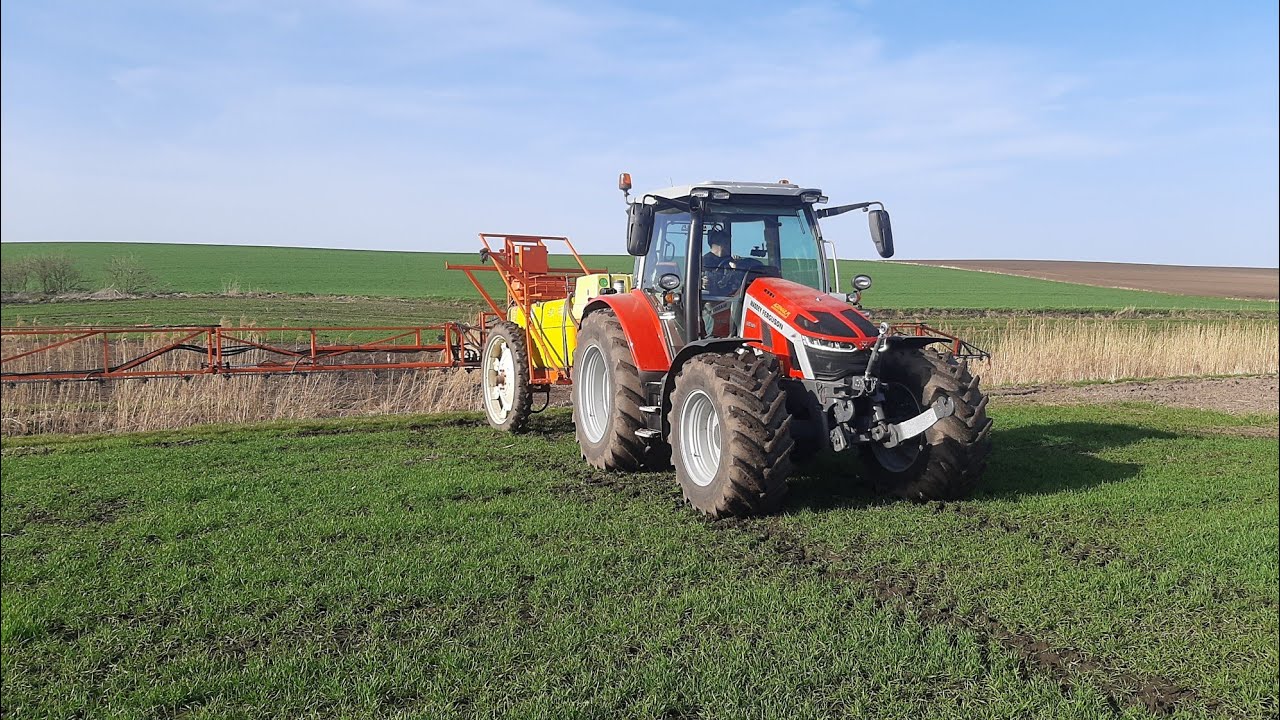 Odżywka w pszenicy 🌱. Massey  🔥Ferguson 5S + Douven🔥