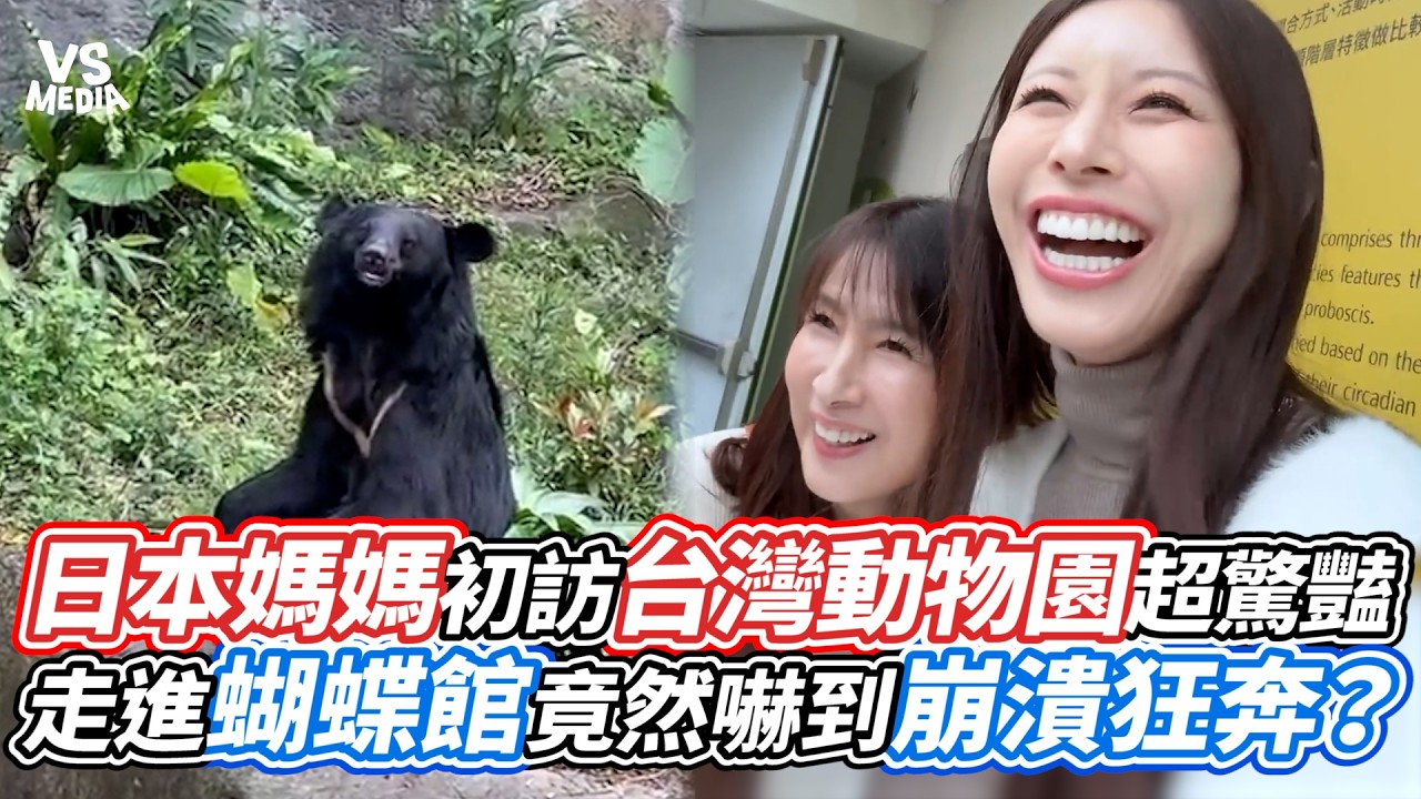 日本媽媽初訪台灣動物園超驚豔！走進蝴蝶館竟然嚇到崩潰狂奔？｜VS MEDIAｘ@JP7inTW