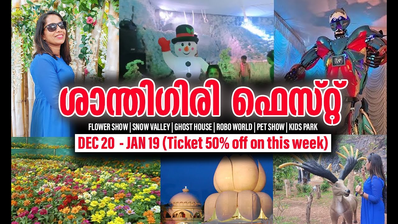 ശാന്തിഗിരി ഫെസ്റ്റ് || Shanthigiri Fest || Pothencode || Daipe's art || daipesart