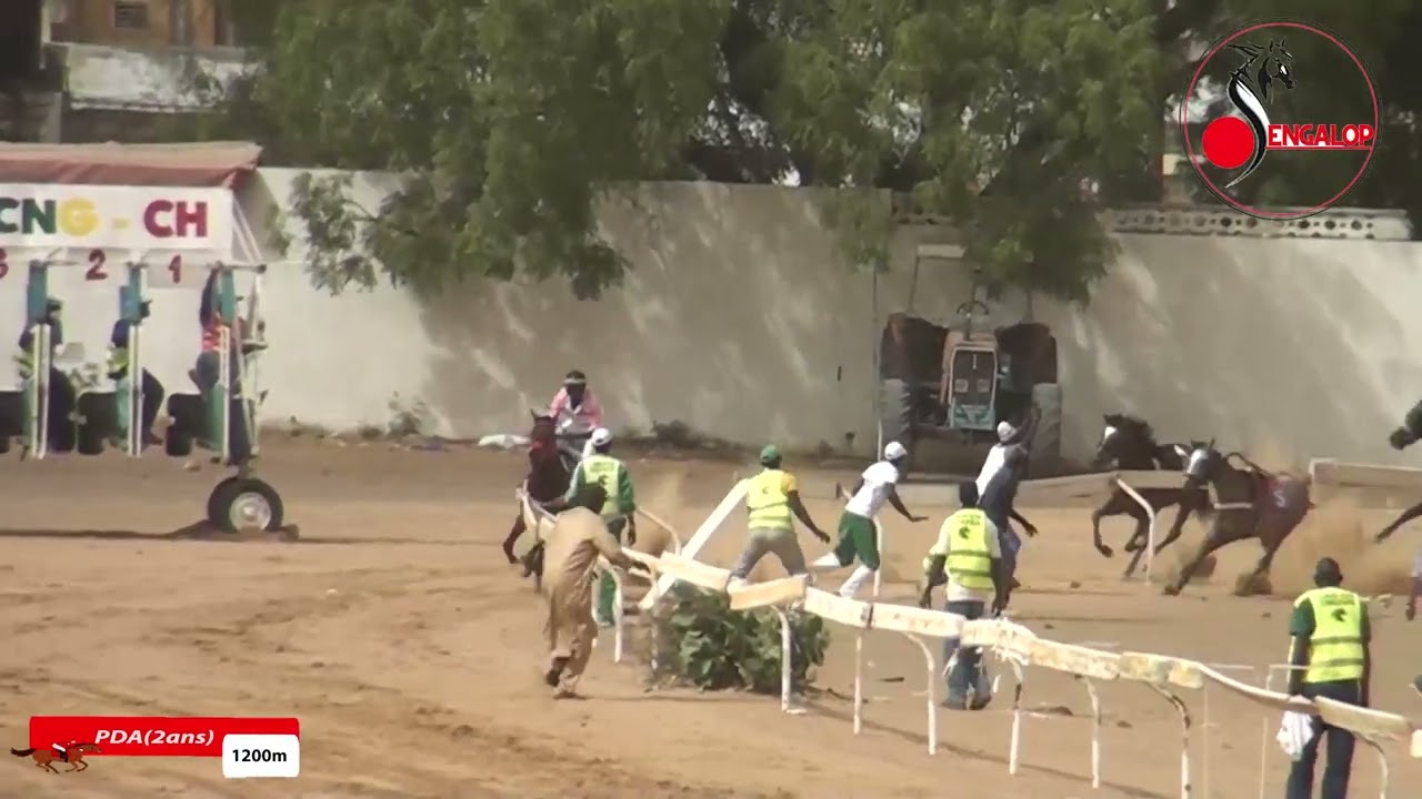 Course poulains de 2ans du 15/05/22