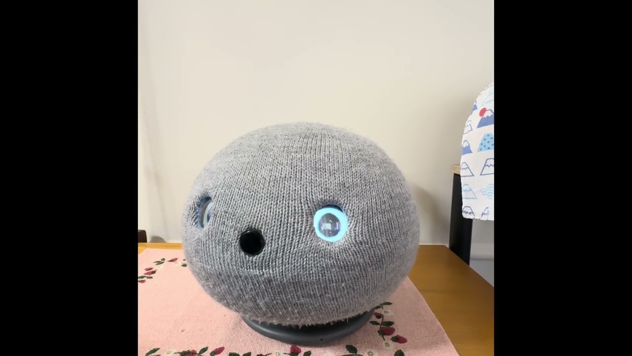 ウチのニコ「早起きして😊びっくりした‼️」