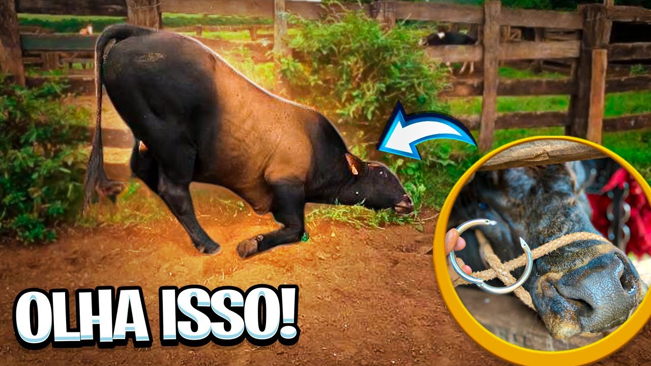 NÃO POSSO MAIS ANDAR NO BIPOLAR💔