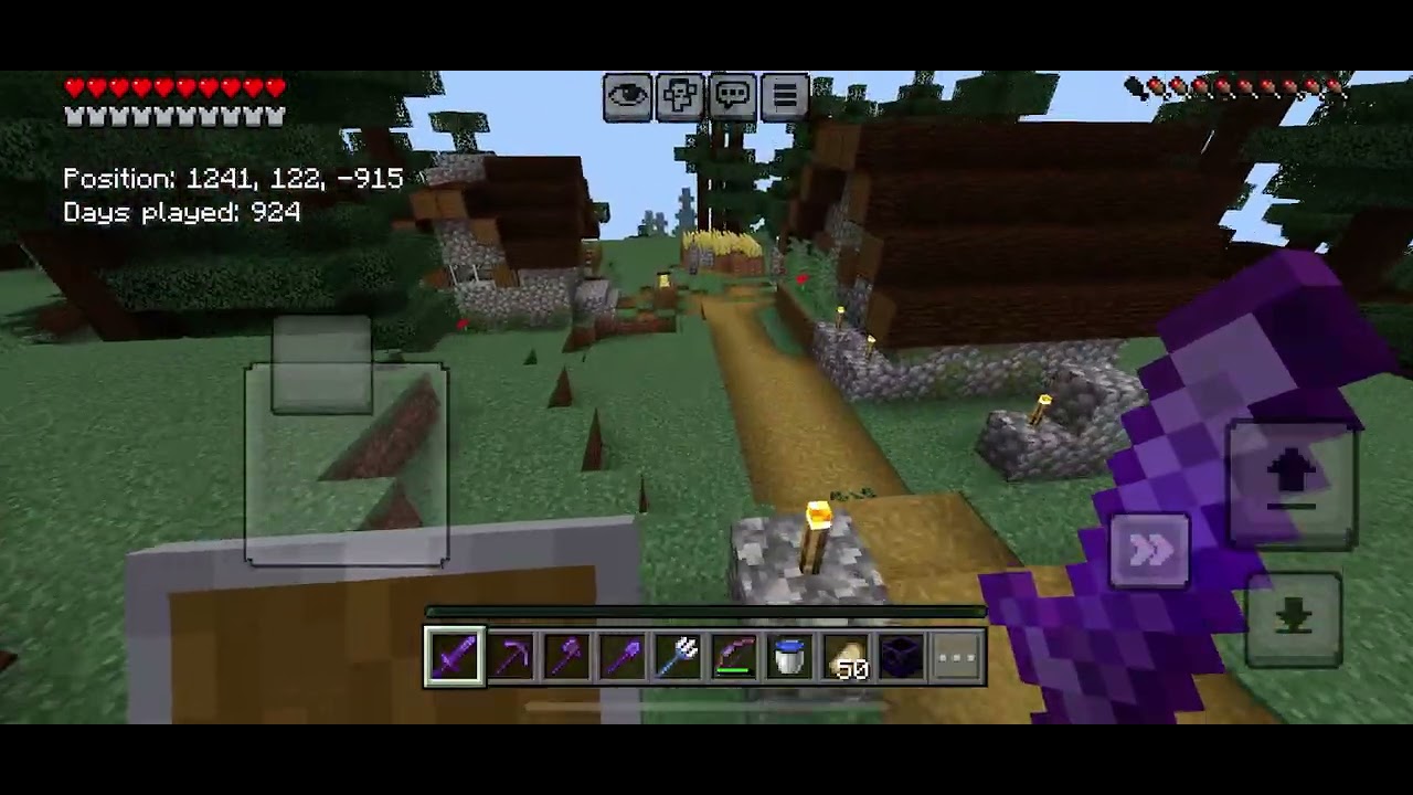 We defeated the ender dragon!! 