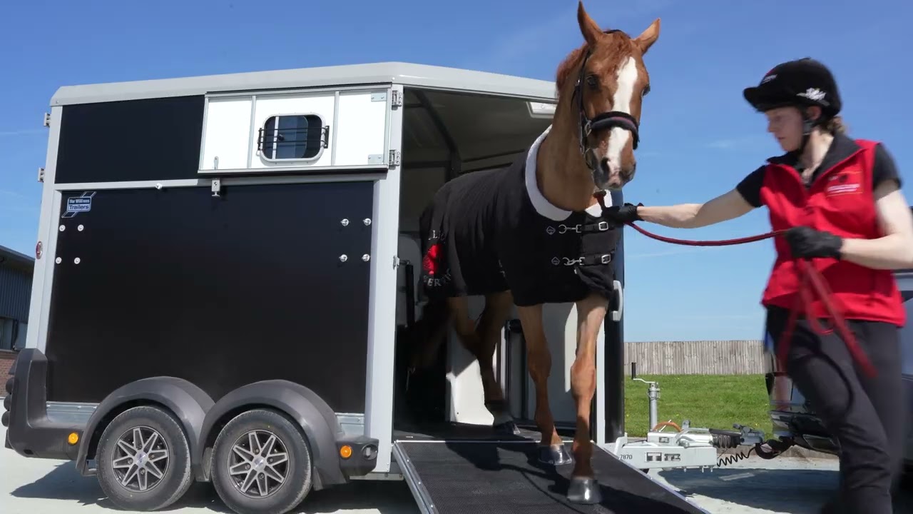 Ifor Williams HB511 Horse Float New Zealand