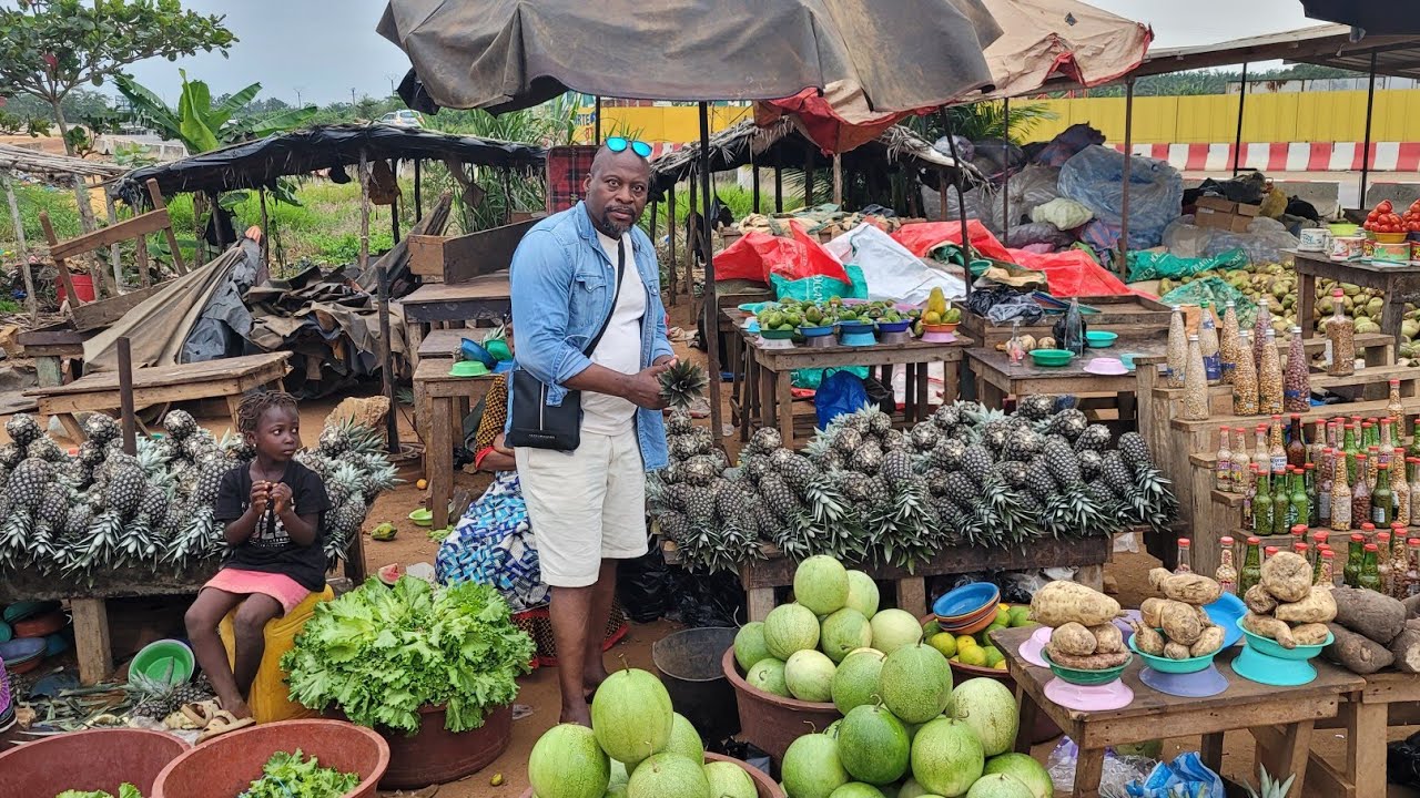 A Tout ceux qui veulent aller faire de L'agriculture industrielle en Afrique :!écoutez Bien Ceci !