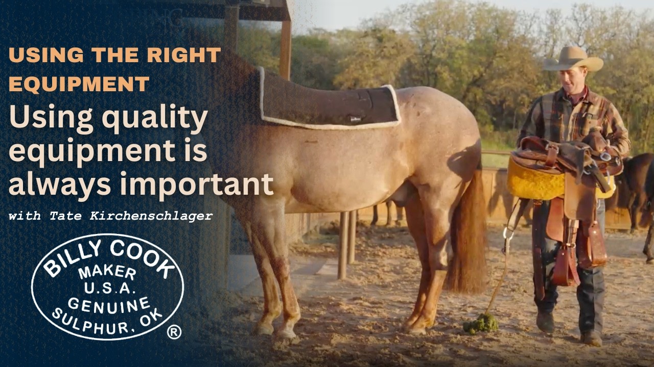 Using the Right Equipment Sets Young Horses Up for Success