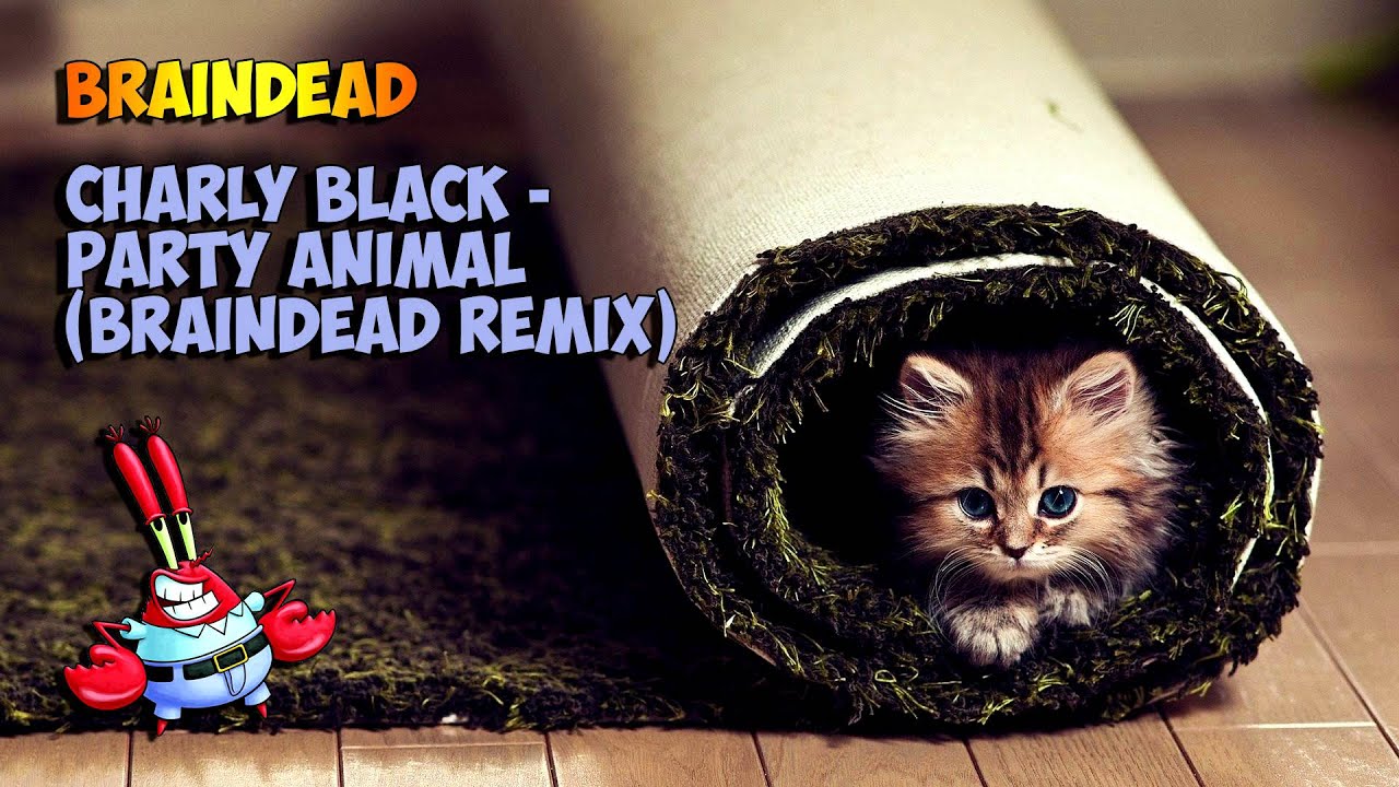 [Twerkhall] BrainDeaD - Charly Black - Party Animal (BrainDeaD Remix)