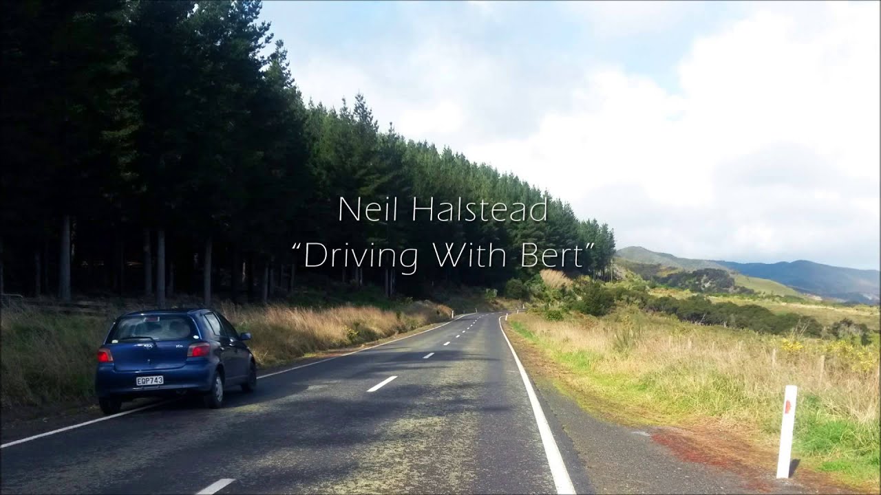 Neil Halstead - Driving With Bert - Live