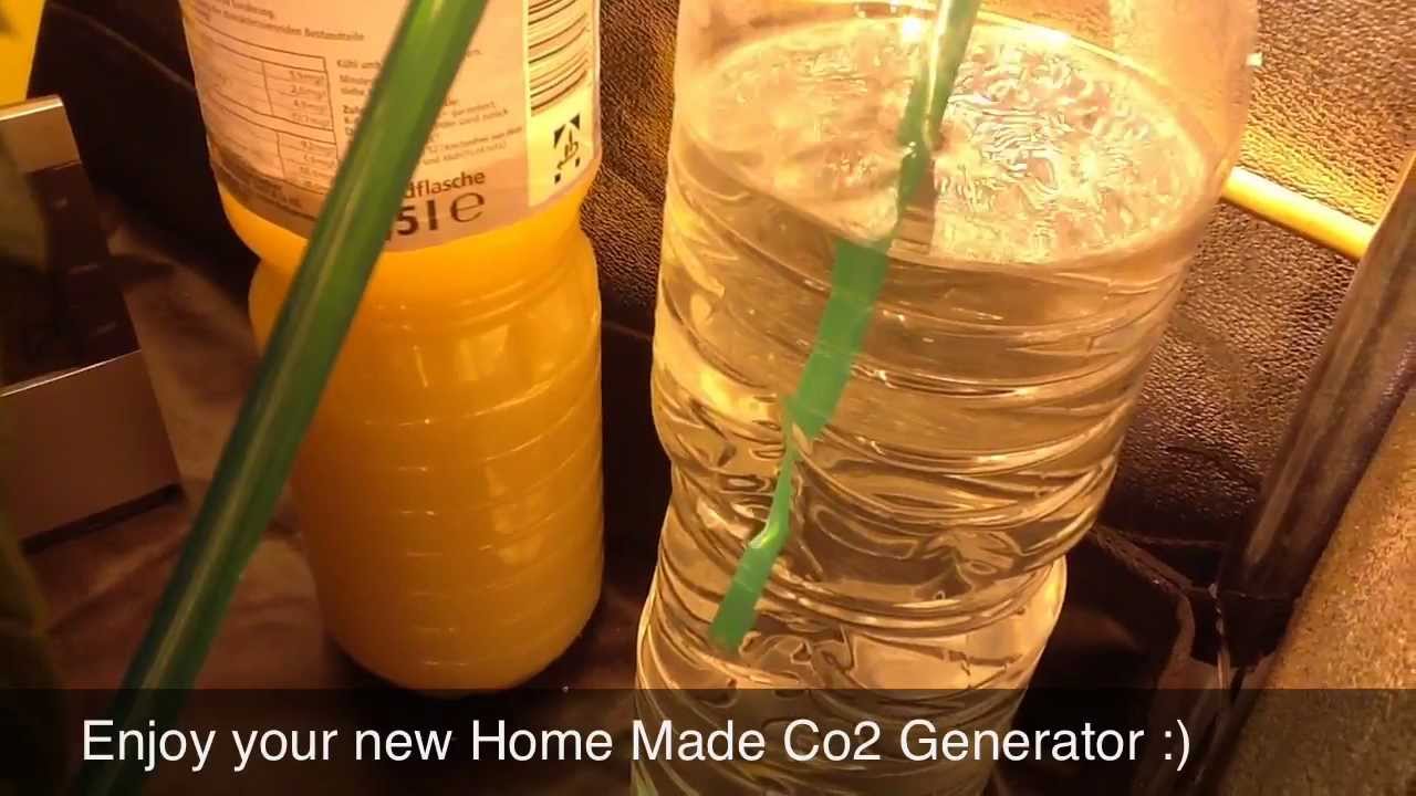 Home Made Plant CO2 Generator Tutorial HD