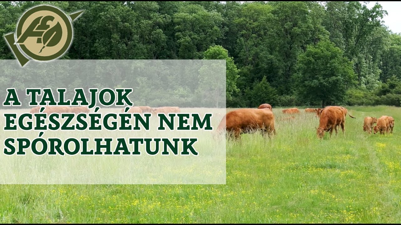 A talajok egészségén nem spórolhatunk
