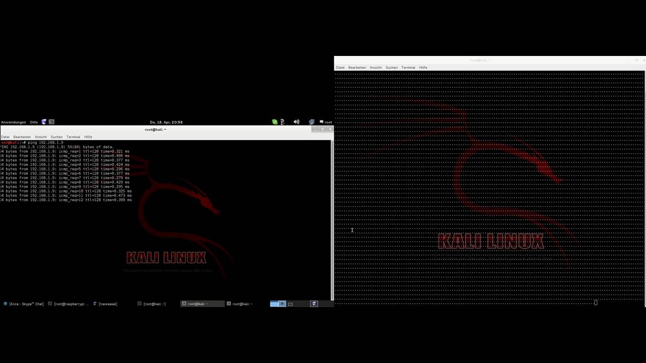 How to DDOS Netzwork with Kali Linux   Backtrack Reborn