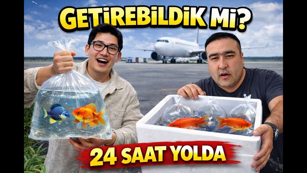 TÜRKİYE'DEN ÖZBEKİSTAN'A AKVARYUM BALIK'I GETİRDİK.(BUNU DA YAPTIK)