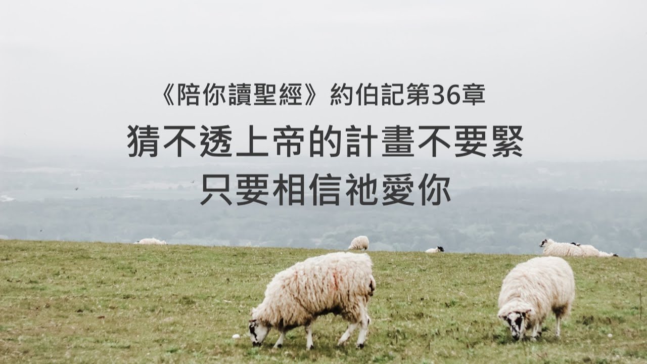 約伯記36章/陪你讀聖經《猜不透上帝的計畫不要緊，只要相信祂愛你》
