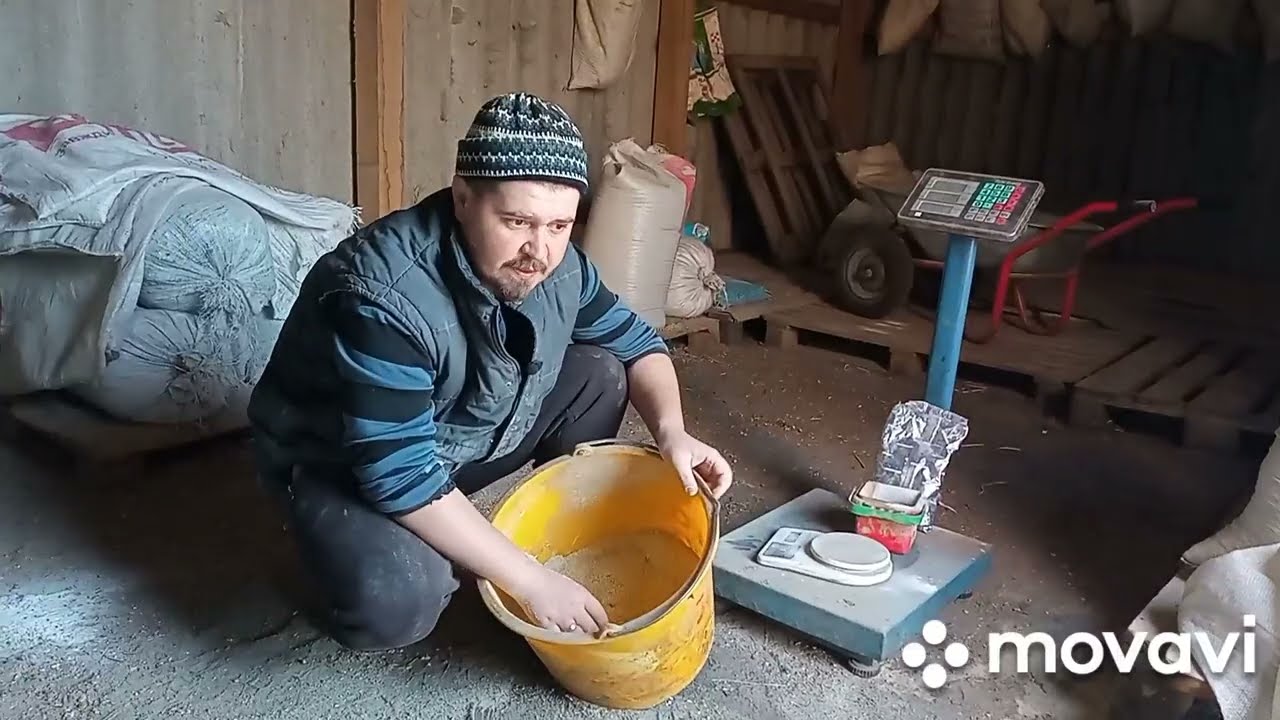 ГЛИСТИ У СВИНЕЙ. ЧИМ І ЯК ГЛИСТОГОНИТЬ? СВИНОВОДСТВО.