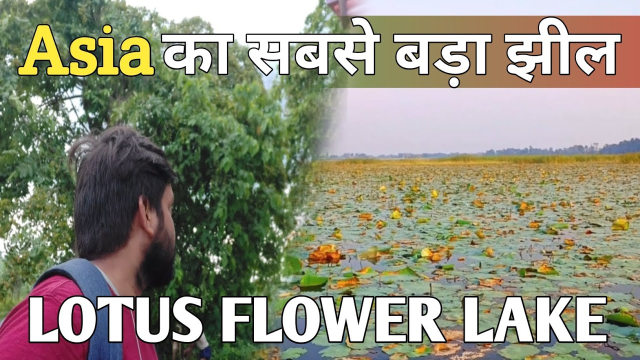 Asia's Largest Oxbow Lake Bihar | KANWAR LAKE Bird Sanctuary | Ghoomakkar