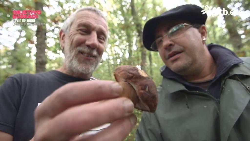 Nos vamos a buscar setas con los amigos de Araia
