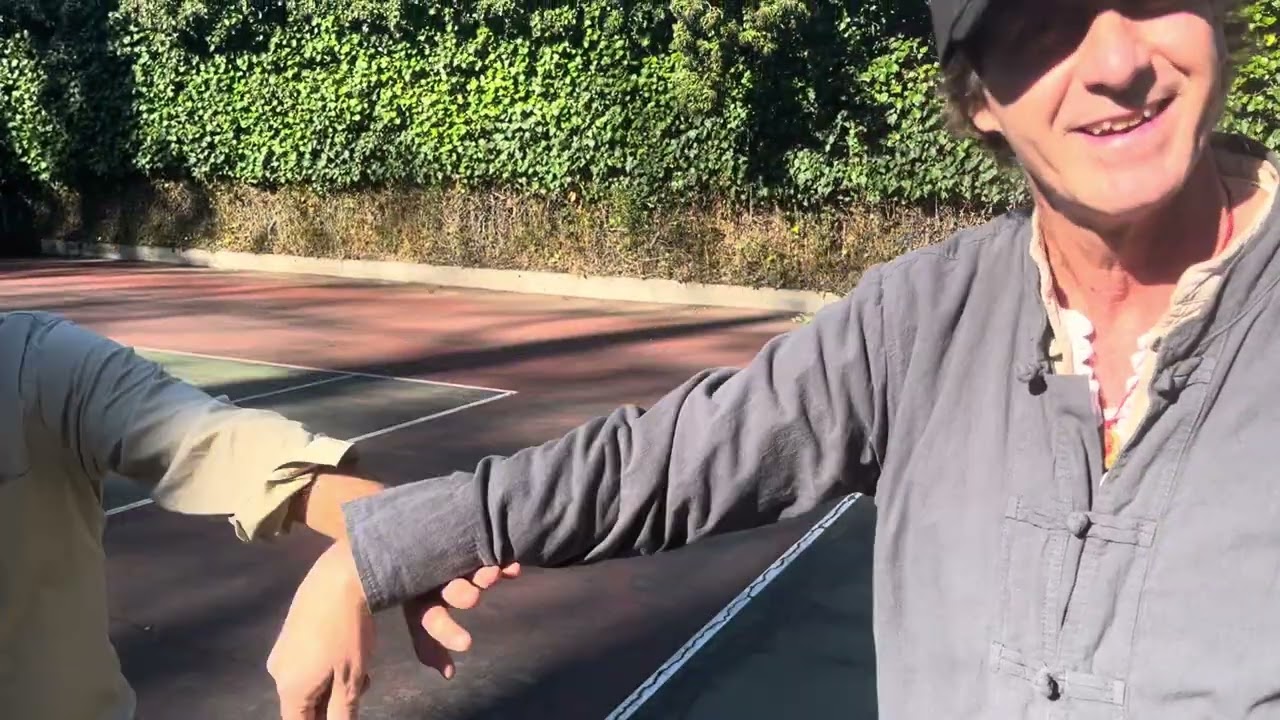 Push hands coupling for split and down block parry punch in Chen pan ling tai chi
