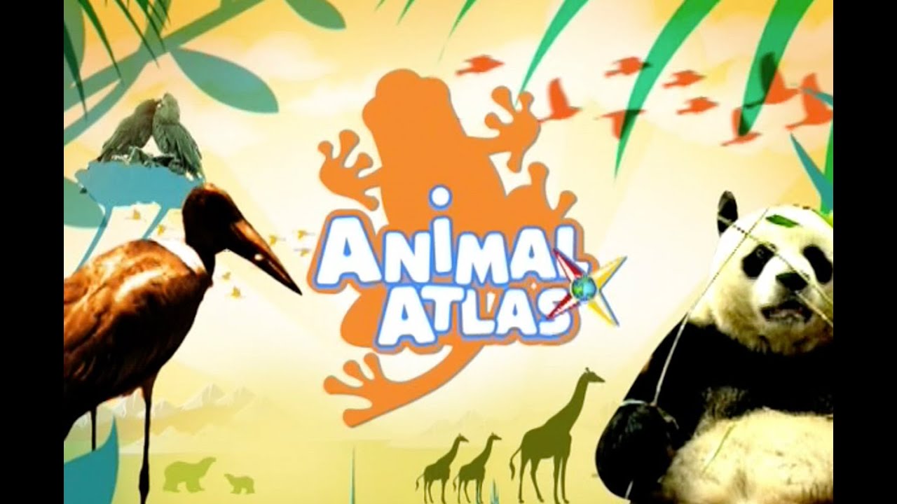 Animal Atlas Show Opener