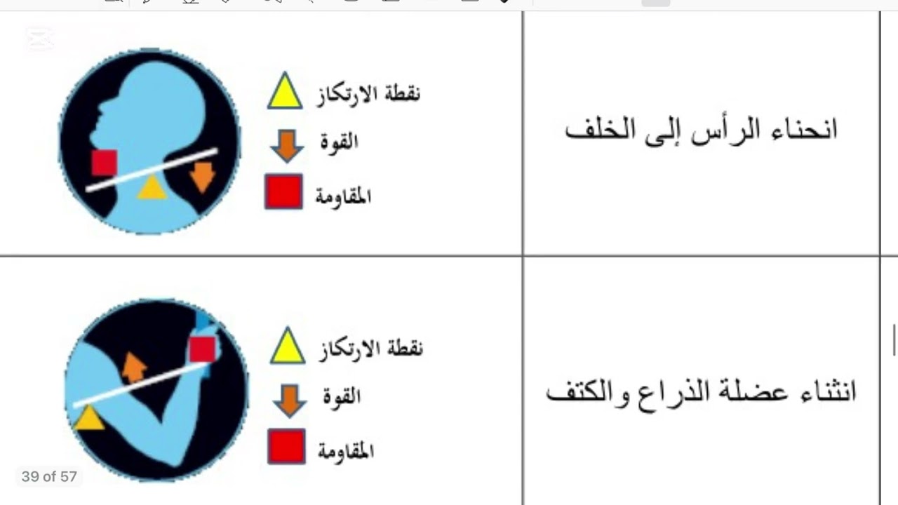الجلد والعضلات علوم ثاني متوسط الفصل الدراسي الثاني الجزء الثاني