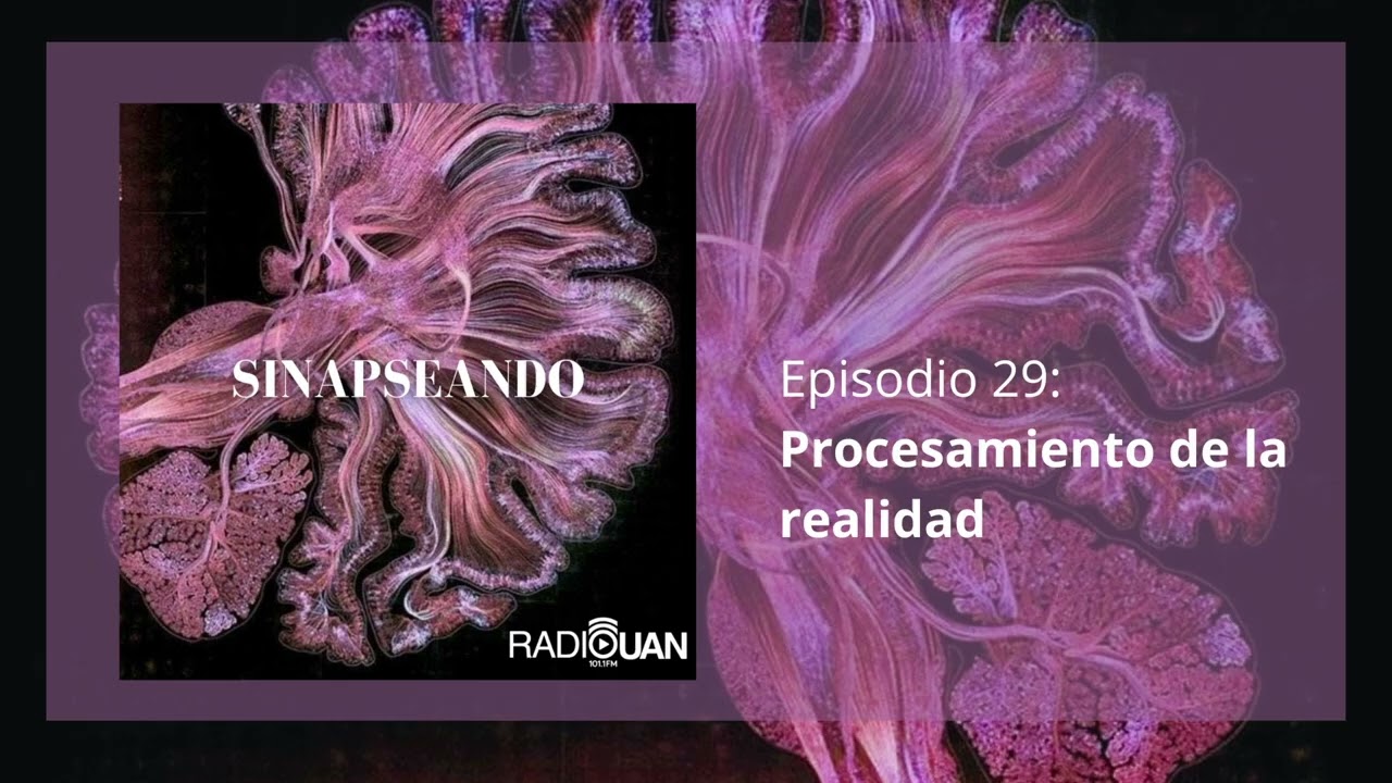 ¿Cómo el cerebro interpreta la realidad? | Sinapseando - Episodio 29